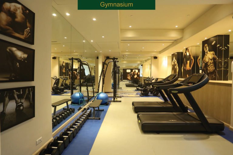 Gymnasium