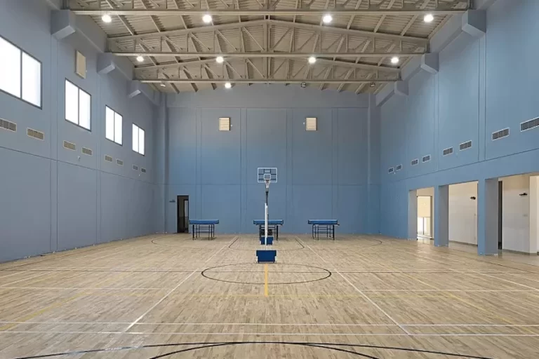 Sobha Arena Apartment in Kanakpura Bangalore Basketball-Court
