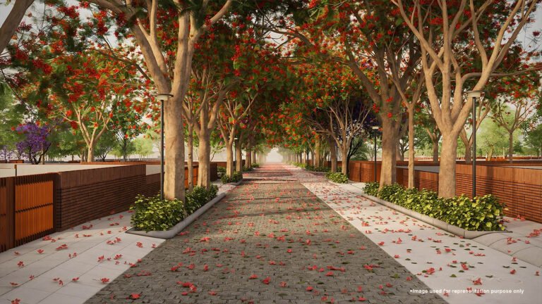 Total Environment Tangled Up in Green Plots Amenities