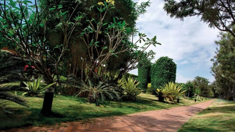 Total Environment After The Rain Villa in Yelahanaka Bangalore Walking Path