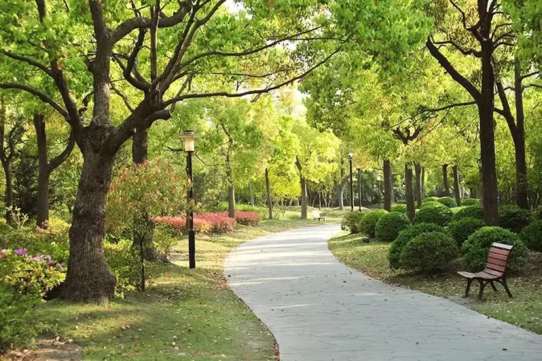 Birla-Alokya- Villaments in bangalore -Garden-Walkway