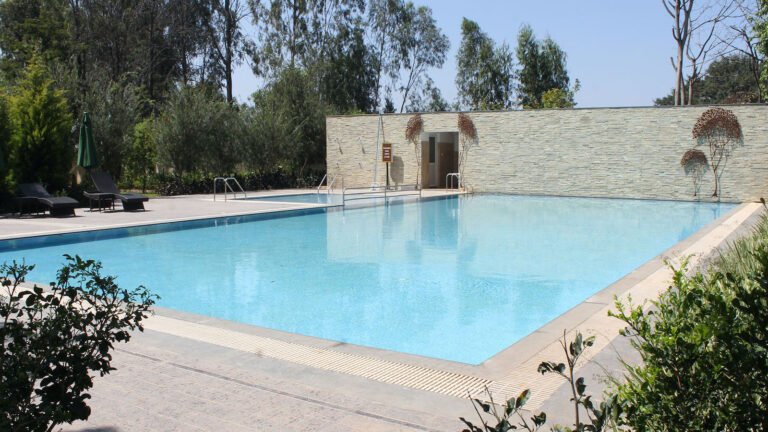 Brigade Exotica Apartment in Bangalore Pool