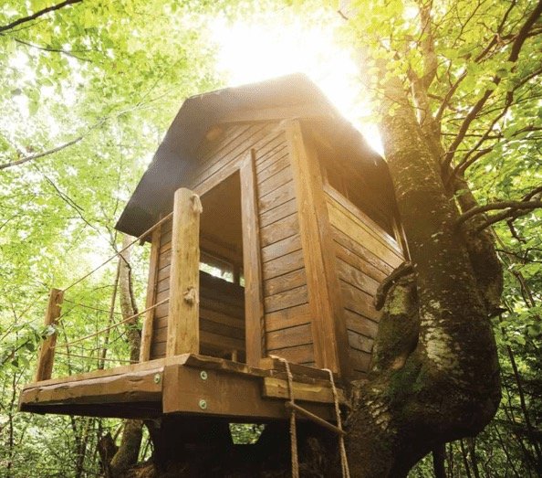 Adarsh Sanctuary Villa in Bangalore -Tree-House
