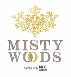 NCC-urban-misty-woods