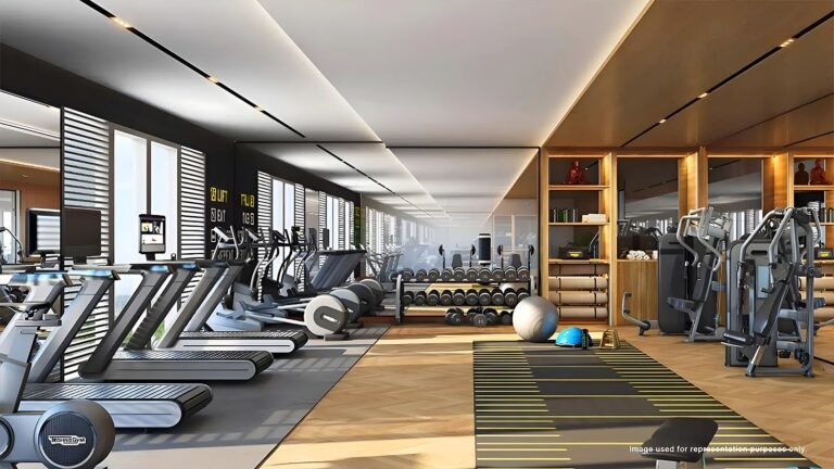 Purva Infinity Apartment in International Airport Road, Near Yelahanka , Bangalore Gym