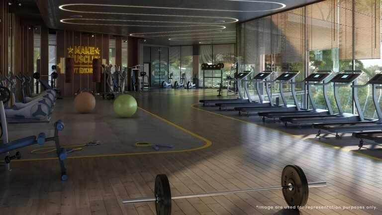 Sattva Lumina Apartment in Bangalore Gym
