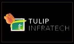 Tulip