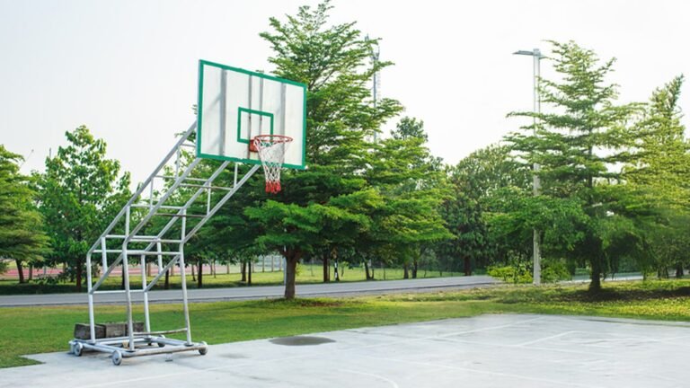 Purva Tivoli Hills plots in Devanhalli Bangalore Basketball Hoop