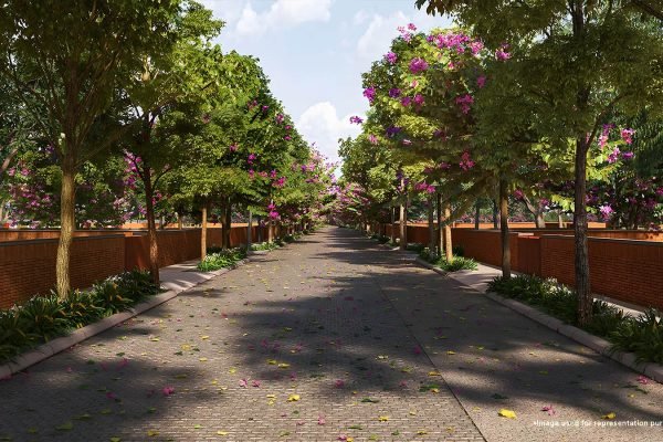 Total Environment Tangled Up in Green plots in Devanahalli, Bangalore